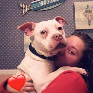 Meet your Posher, Destiny